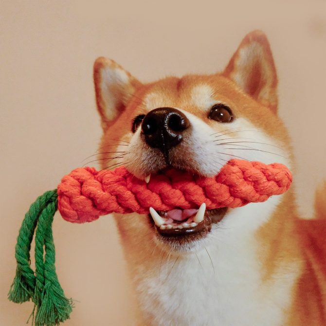 Dog Rope Toys For Grinding And Cleaning Teeth - Image 7