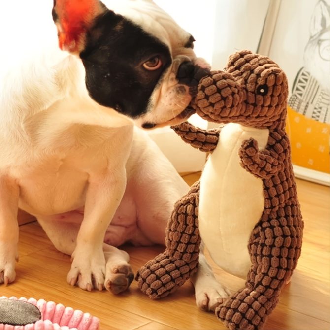 1 Random Color Stuffed Dinosaur Dog Sounding Toy; Dog Training Toy; dog chew toy - Image 20