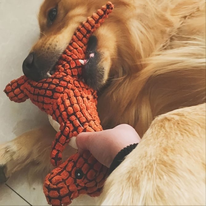 1 Random Color Stuffed Dinosaur Dog Sounding Toy; Dog Training Toy; dog chew toy - Image 7