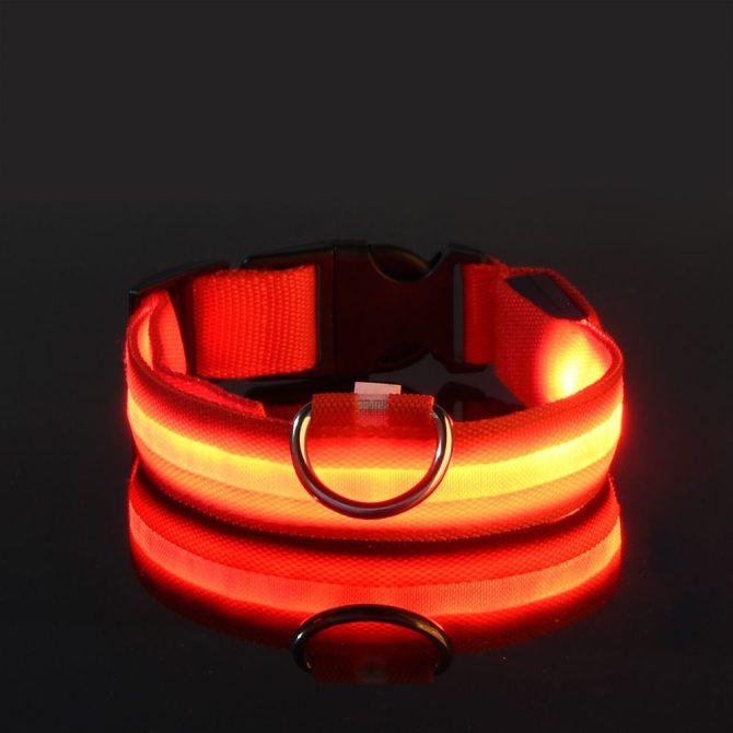 Glow-In-The-Dark Pet Collar For Dog & Cat; LED Dog Collar For Night Walking; USB charging - Image 42