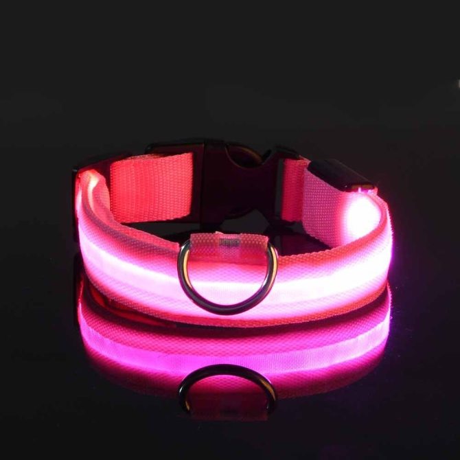 Glow-In-The-Dark Pet Collar For Dog & Cat; LED Dog Collar For Night Walking; USB charging - Image 256