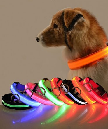 Glow-In-The-Dark Pet Collar For Dog & Cat; LED Dog Collar For Night Walking; USB charging