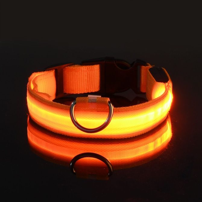 Glow-In-The-Dark Pet Collar For Dog & Cat; LED Dog Collar For Night Walking; USB charging - Image 172