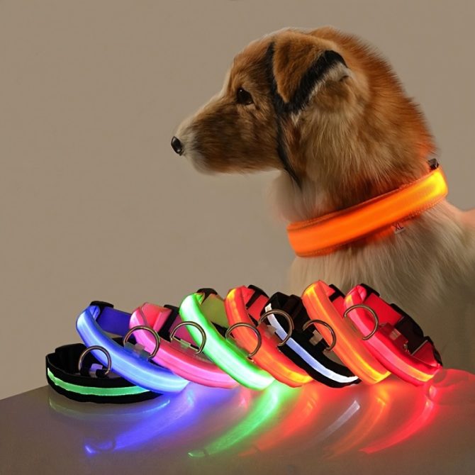 Glow-In-The-Dark Pet Collar For Dog & Cat; LED Dog Collar For Night Walking; USB charging - Image 167