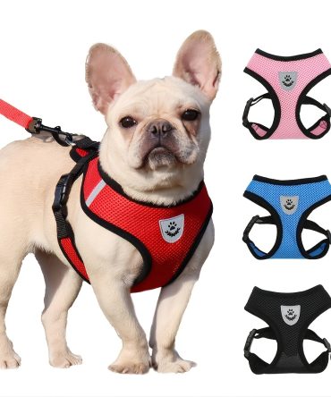 Reflective Pet Harness And Leash Set For Dog & Cat; Adjustable No Pull Dog Harness With Soft Mesh