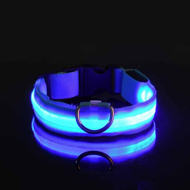Glow-In-The-Dark Pet Collar For Dog & Cat; LED Dog Collar For Night Walking; USB charging - Image 264