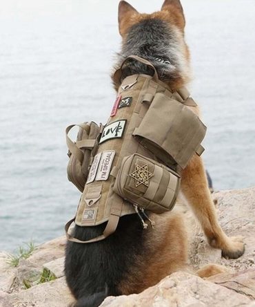 Tactical Dog Harness With Pouches; Adjustable Harness With 3 Detachable Pockets