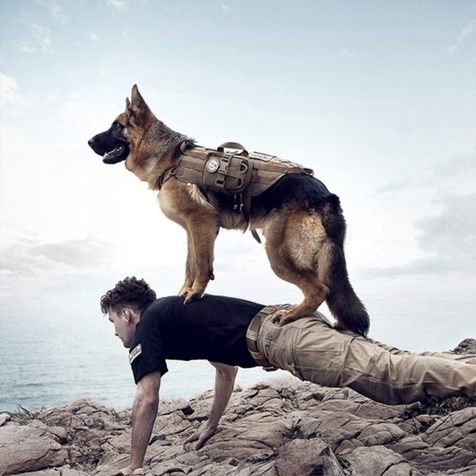 Tactical Dog Harness With Pouches; Adjustable Harness With 3 Detachable Pockets - Image 64