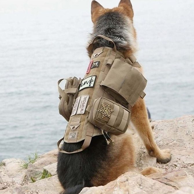 Tactical Dog Harness With Pouches; Adjustable Harness With 3 Detachable Pockets - Image 19