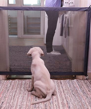 Dog Isolation Net Home Door Fence Protection Net Portable Isolation Door Dog Safety Fence