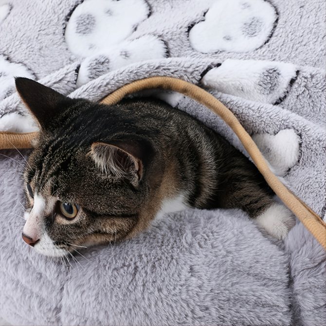 Warming Pet Pad Cartoon Paw Print Cat Warm Bed Plush Sleeping Pad For Small Puppy Dogs Kitten - Image 16
