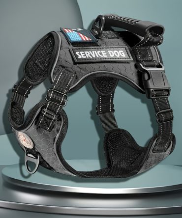 Pet Harness And Leash Set For Dog & Cat; Adjustable No Pull Service Dog Vest Harness For Walking