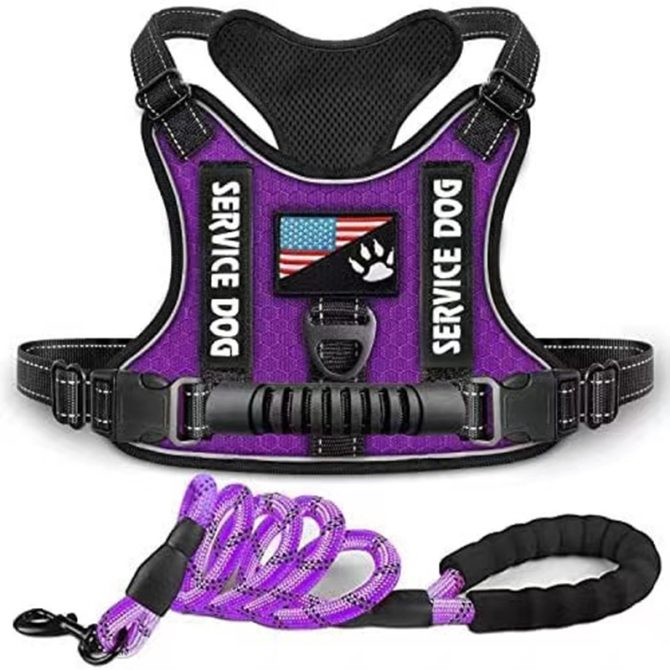 Pet Harness And Leash Set For Dog & Cat; Adjustable No Pull Service Dog Vest Harness For Walking - Image 78