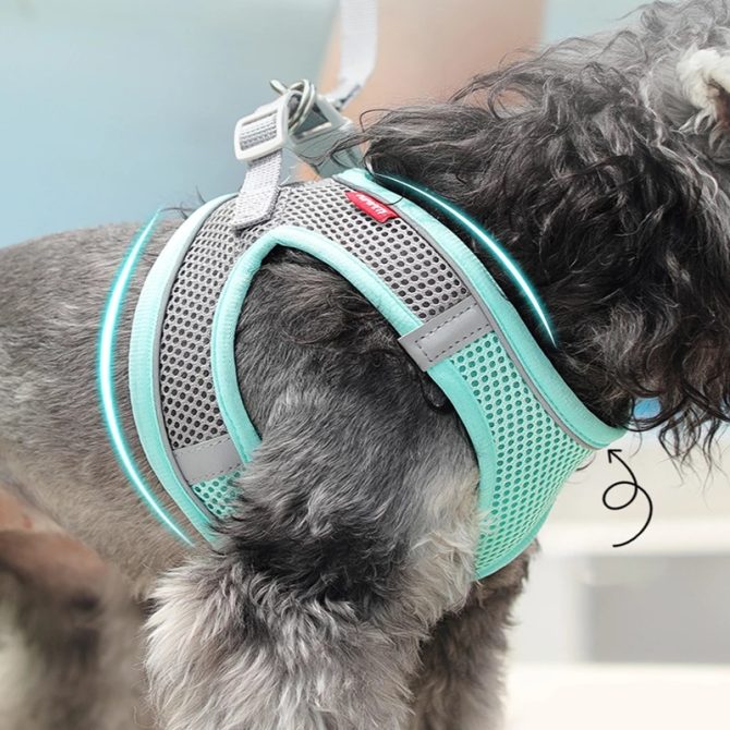 Pet Harness For Dog & Cat; No Pull Breathable Dog Vest Harness For Walking; Anti Escape Dog Harness - Image 8