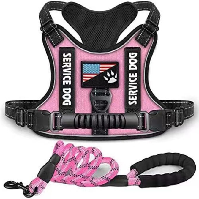 Pet Harness And Leash Set For Dog & Cat; Adjustable No Pull Service Dog Vest Harness For Walking - Image 176