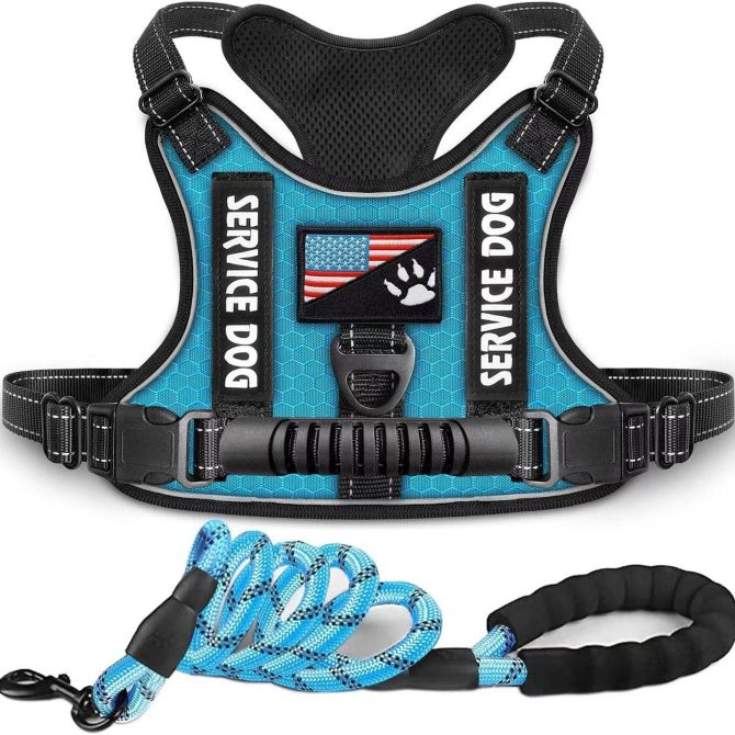 Pet Harness And Leash Set For Dog & Cat; Adjustable No Pull Service Dog Vest Harness For Walking - Image 180