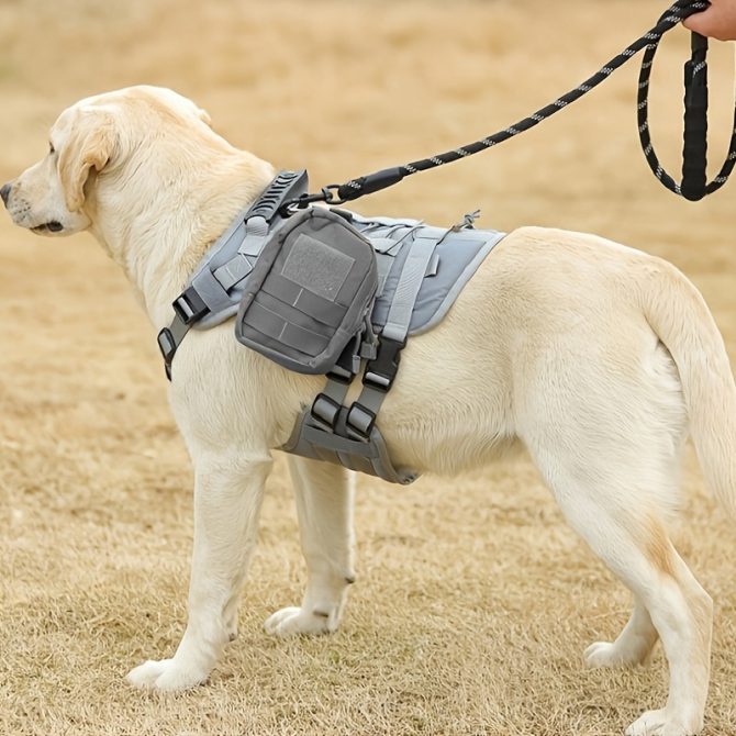Universal Outdoor Dog Harness With Pet Leash And Snap Shackle Hitched Loop For Dogs - Image 134