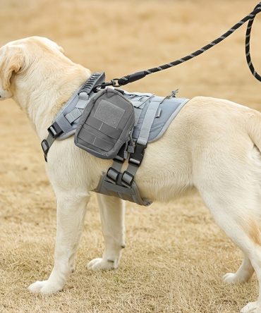 Universal Outdoor Dog Harness With Pet Leash And Snap Shackle Hitched Loop For Dogs
