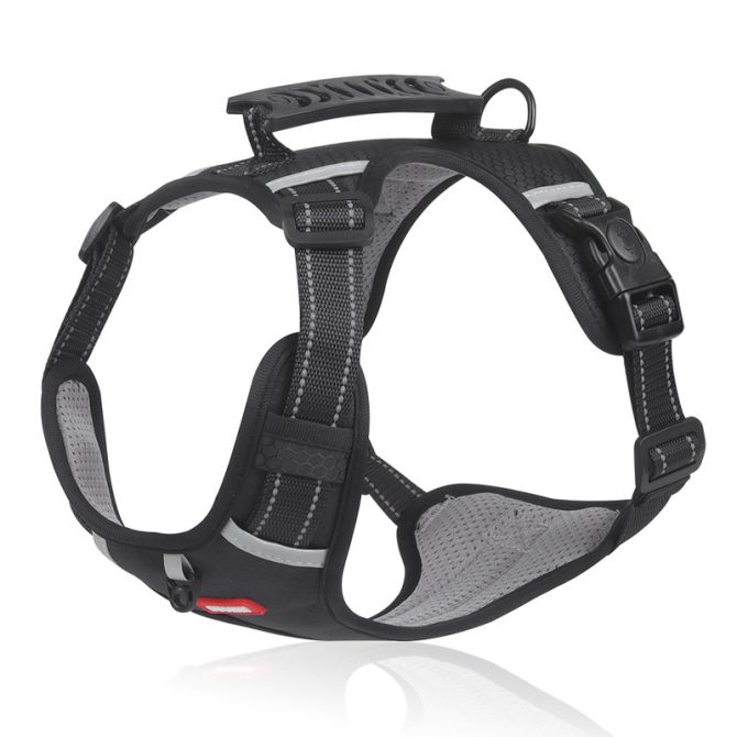 No Pull Pet Harness For Dog & Cat; Adjustable Soft Padded Large Dog Harness With Easy Control Handle - Image 37