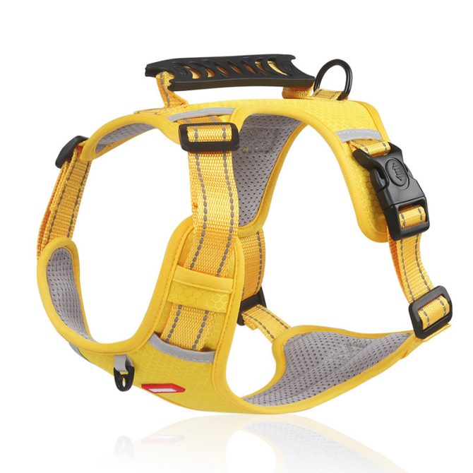 No Pull Pet Harness For Dog & Cat; Adjustable Soft Padded Large Dog Harness With Easy Control Handle - Image 38