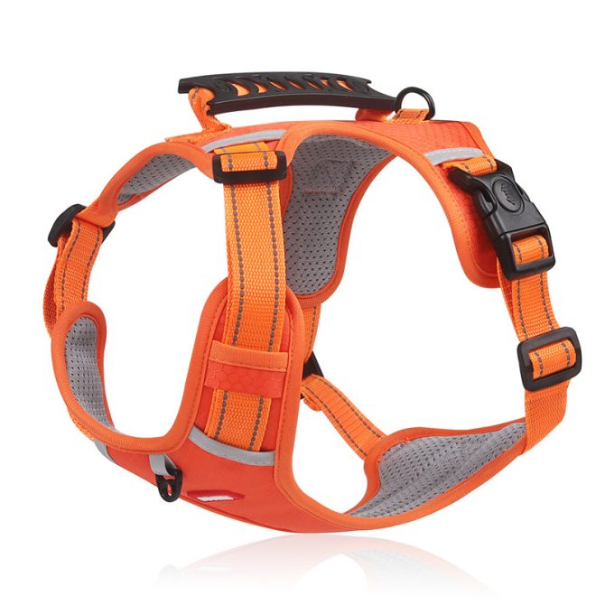 No Pull Pet Harness For Dog & Cat; Adjustable Soft Padded Large Dog Harness With Easy Control Handle - Image 39