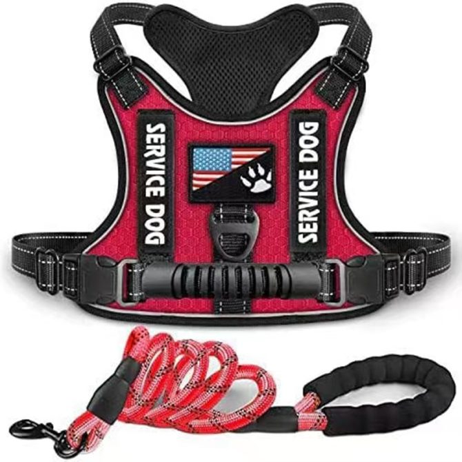 Pet Harness And Leash Set For Dog & Cat; Adjustable No Pull Service Dog Vest Harness For Walking - Image 197