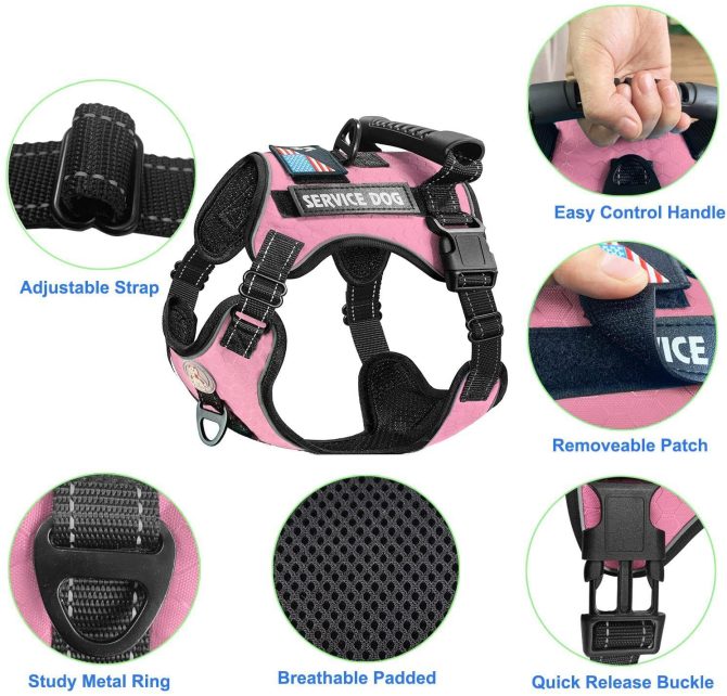 Pet Harness And Leash Set For Dog & Cat; Adjustable No Pull Service Dog Vest Harness For Walking - Image 198