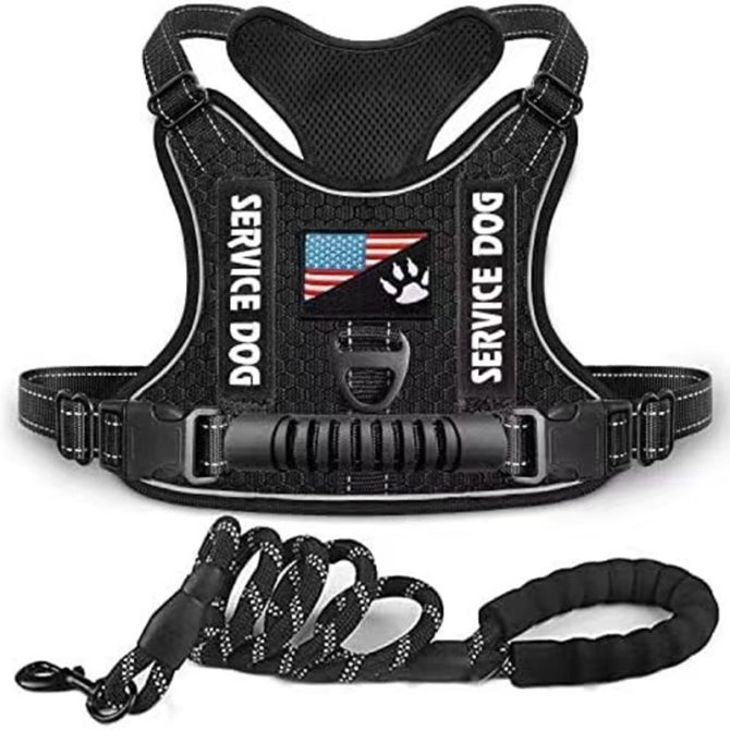 Pet Harness And Leash Set For Dog & Cat; Adjustable No Pull Service Dog Vest Harness For Walking - Image 203