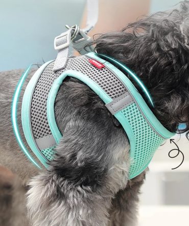 Pet Harness For Dog & Cat; No Pull Breathable Dog Vest Harness For Walking; Anti Escape Dog Harness