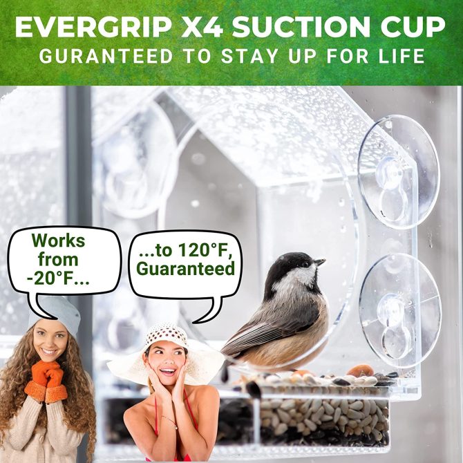 pet bird feeder; Nature Anywhere Clear Plastic Window Bird Feeder for Outside - Clear Window Bird Feeders with Strong Suction Cups - Image 3