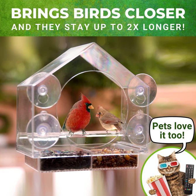 pet bird feeder; Nature Anywhere Clear Plastic Window Bird Feeder for Outside - Clear Window Bird Feeders with Strong Suction Cups - Image 4