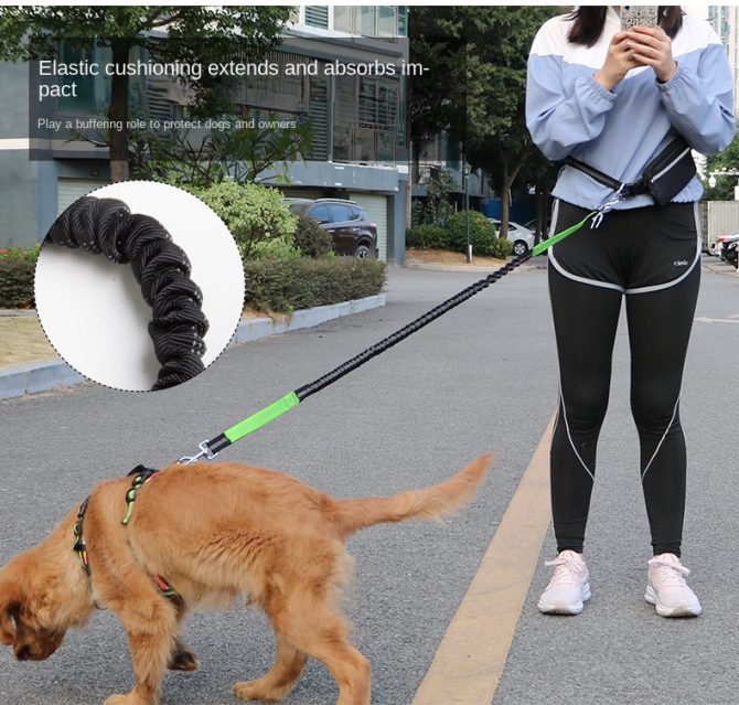 Hands Free Dog Leash with Zipper Pouch; Dual Padded Handles and Durable Bungee for Walking; Jogging and Running Your Dog - Image 49