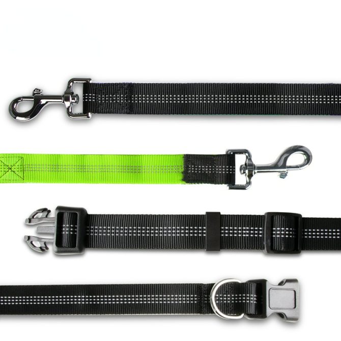 Hands Free Dog Leash with Zipper Pouch; Dual Padded Handles and Durable Bungee for Walking; Jogging and Running Your Dog - Image 51