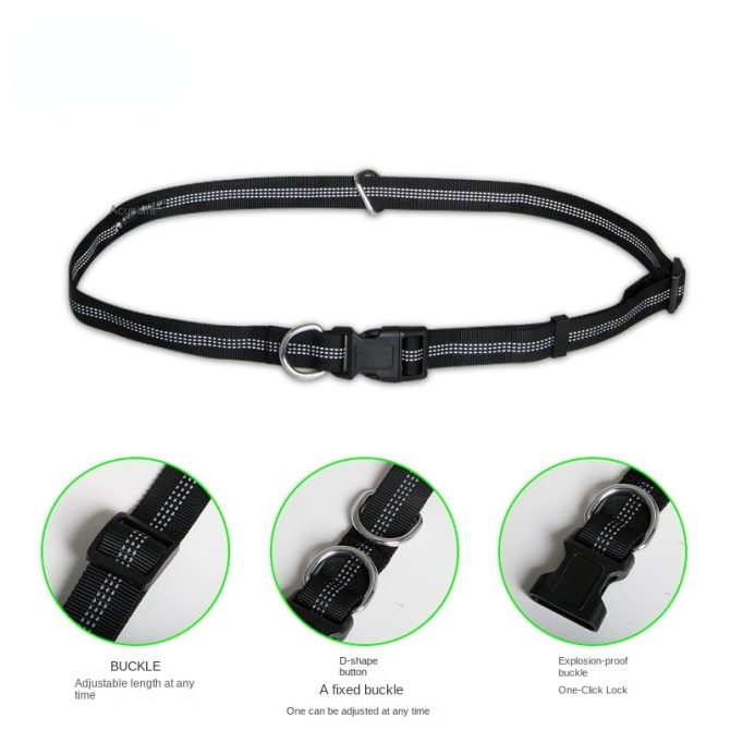 Hands Free Dog Leash with Zipper Pouch; Dual Padded Handles and Durable Bungee for Walking; Jogging and Running Your Dog - Image 52