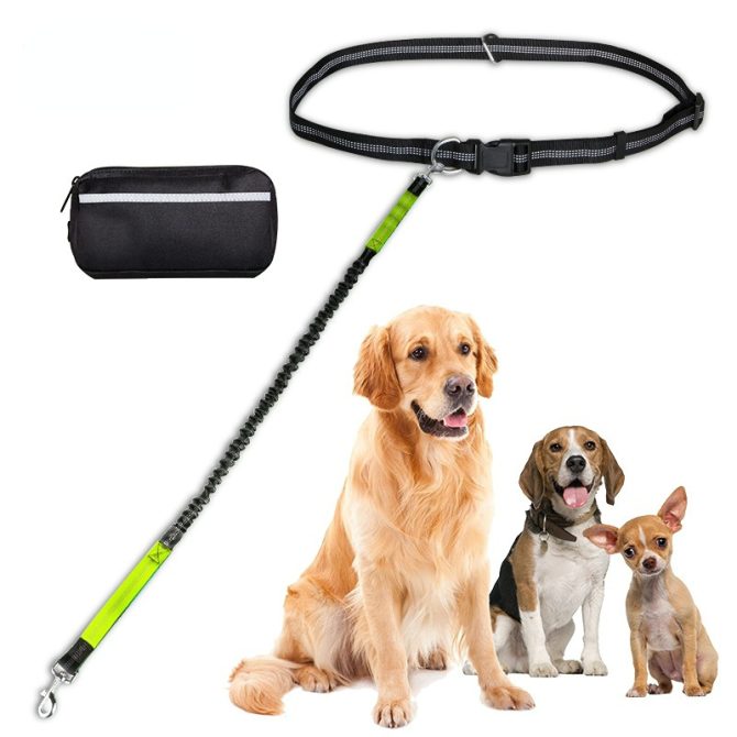 Hands Free Dog Leash with Zipper Pouch; Dual Padded Handles and Durable Bungee for Walking; Jogging and Running Your Dog - Image 45