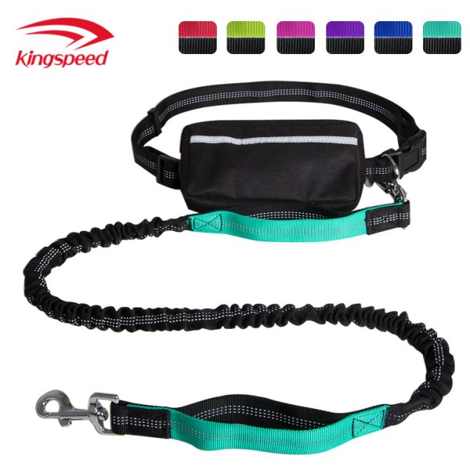 Hands Free Dog Leash with Zipper Pouch; Dual Padded Handles and Durable Bungee for Walking; Jogging and Running Your Dog - Image 11