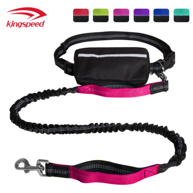 Hands Free Dog Leash with Zipper Pouch; Dual Padded Handles and Durable Bungee for Walking; Jogging and Running Your Dog - Image 2