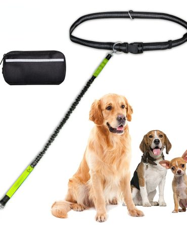 Hands Free Dog Leash with Zipper Pouch; Dual Padded Handles and Durable Bungee for Walking; Jogging and Running Your Dog