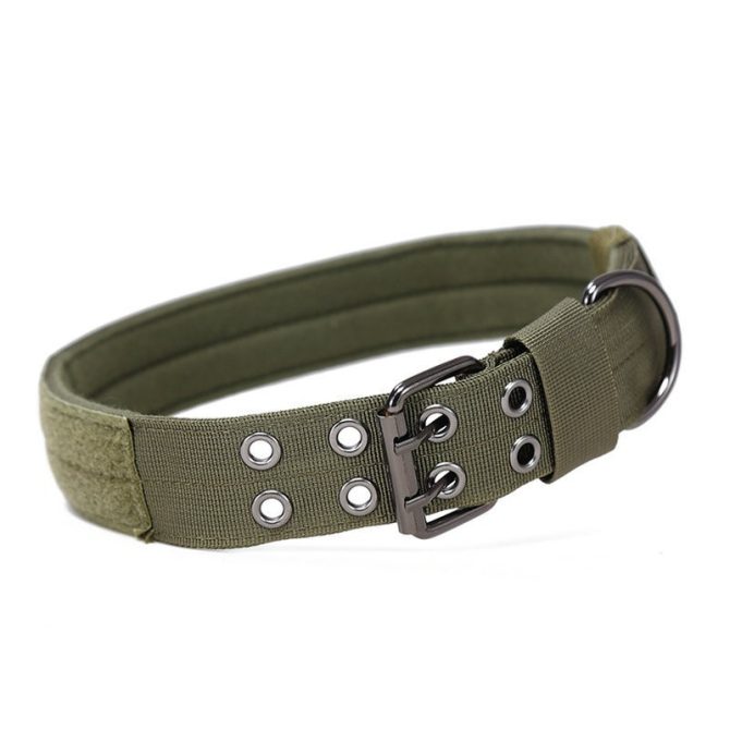 Super strong large dog collar with D-Ring & Buckle Collars Medium sized dog Golden haired horse dog Fierce dog collar - Image 2