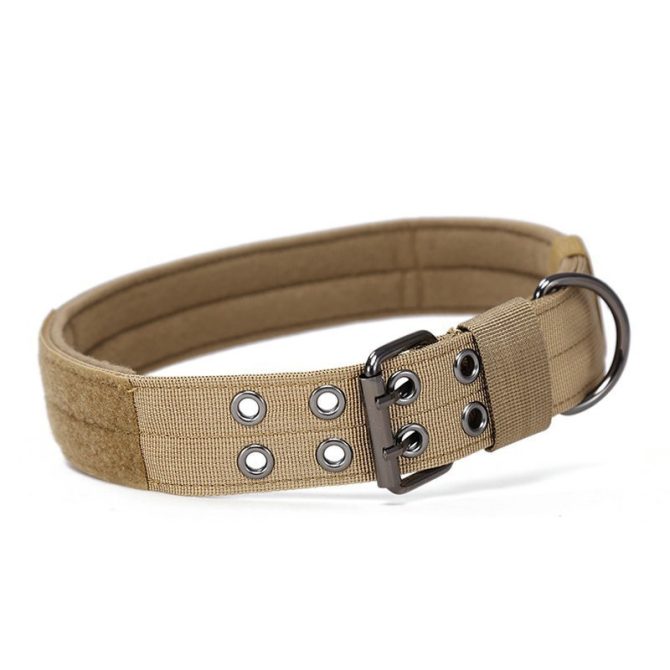 Super strong large dog collar with D-Ring & Buckle Collars Medium sized dog Golden haired horse dog Fierce dog collar - Image 14