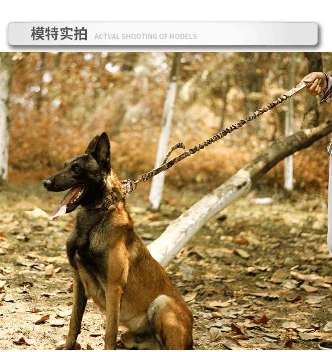 Super strong large dog collar with D-Ring & Buckle Collars Medium sized dog Golden haired horse dog Fierce dog collar - Image 45