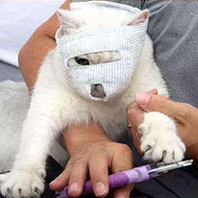 Breathable Cat Muzzle Anti Bite Kitten Muzzles Mask Cats Bathing Grooming Bag Pet Supplies - Image 6