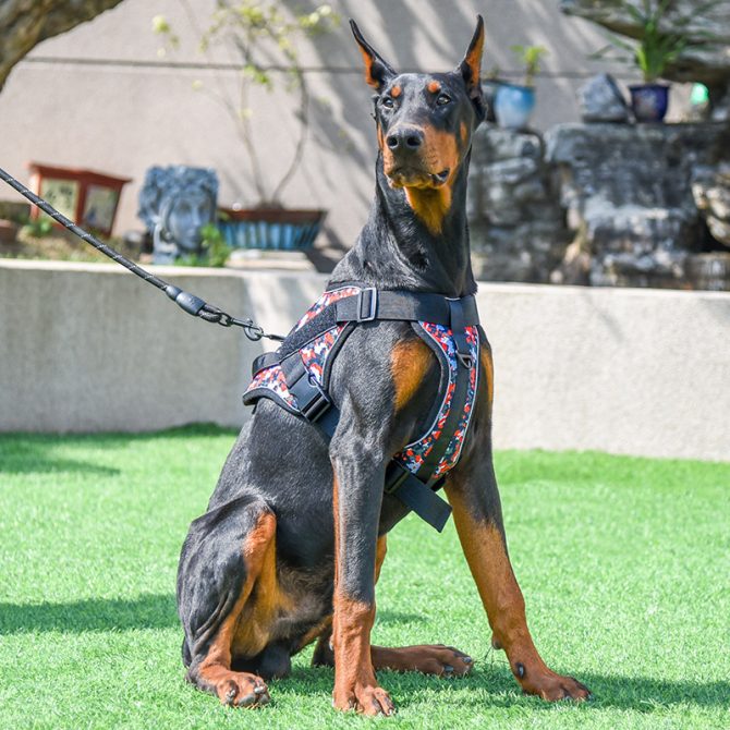 Dog Harness; large dog training tactical chest strap; K9 pet chest strap; vest type reflective dog rope; explosion-proof impulse traction - Image 160