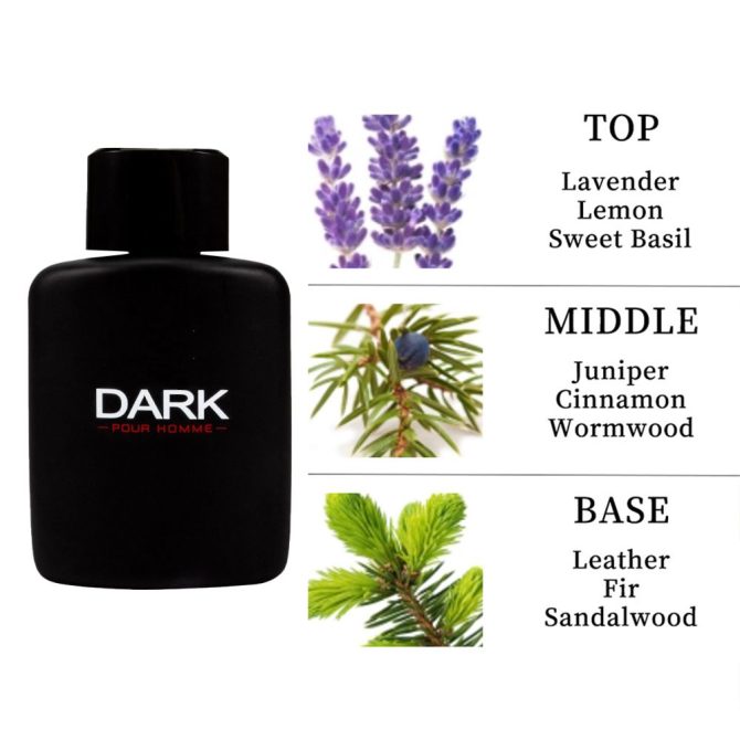 3.4oz Men's Perfume Spray - Long-lasting Fragrance Spray, Containing Lavender, Lemon and Sweet Basil, Suitable for Dates, Daily, Parties and Gift Giving - Image 2