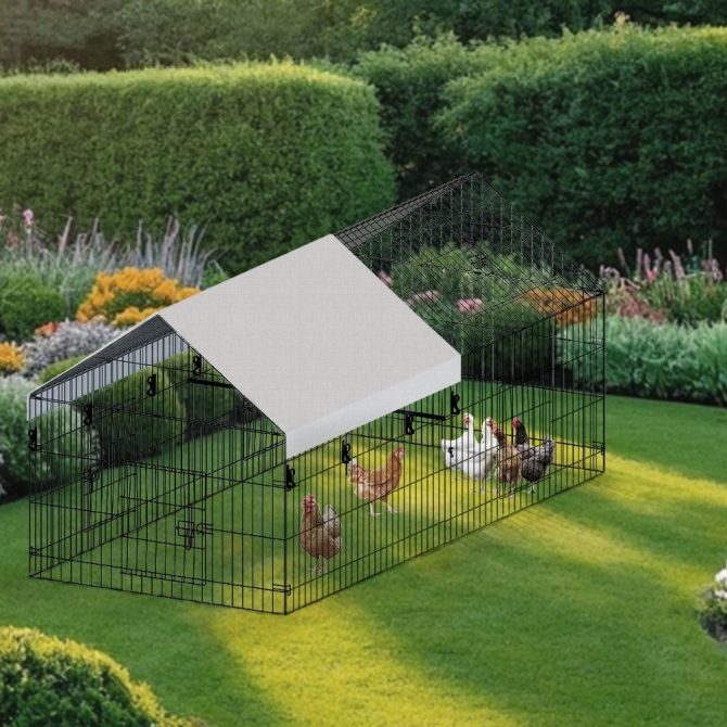 pointed wire chicken coop for poultry breeding - Image 2