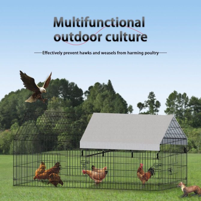 pointed wire chicken coop for poultry breeding - Image 5