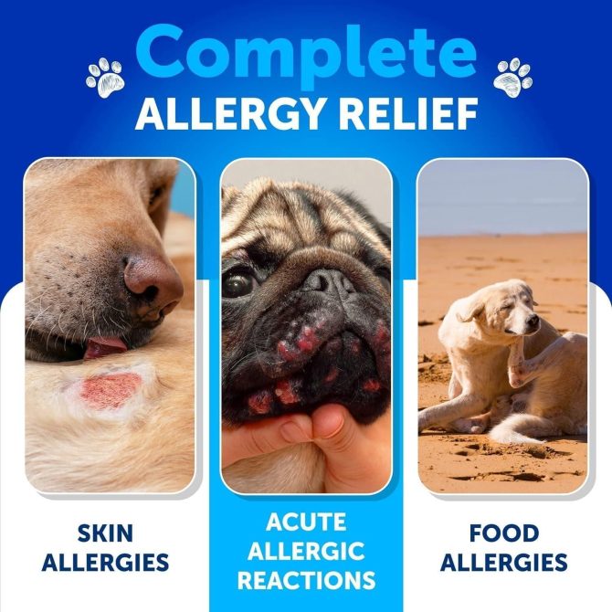 Dog Allergy Relief Chews Itching Skin Relief for Dogs Fish Oil Omega 3 Seasonal Allergies Pills Skin & Coat Anti ItchHot Spots Treatment Canine Immune Health Supplement 120 Soft Treats - Image 3