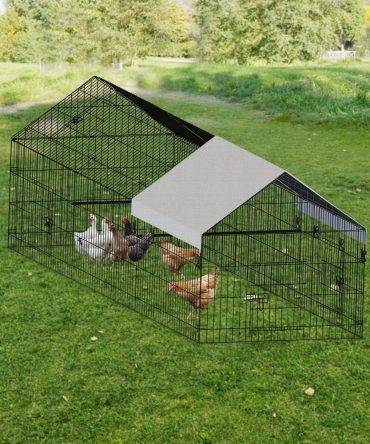 Poultry farming outdoor metal chicken coop