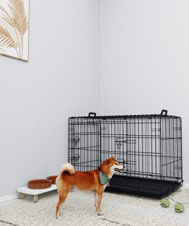 36 inches Black wire dog cage double lock mechanism two doors two handles Double bolt