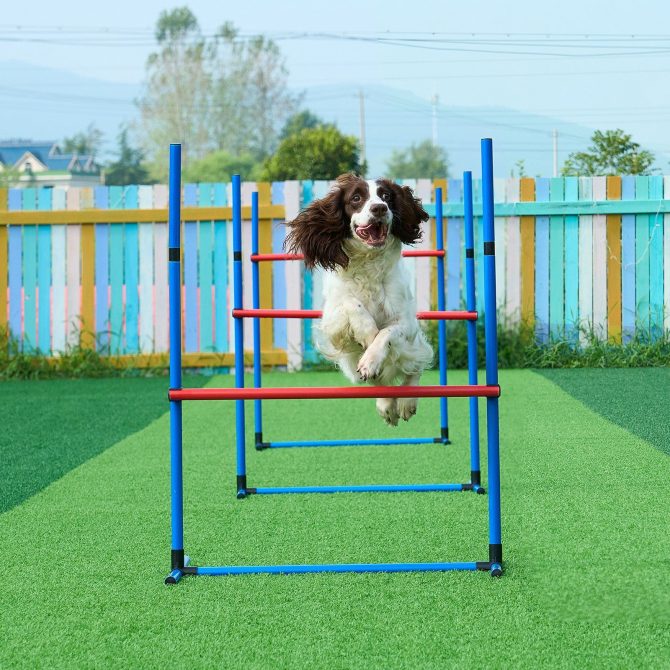 VEVOR Dog Agility Training Equipment 4 PCS Set Hurdles and Jump Ring Obstacle - Image 8